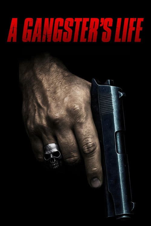 Póster de A Gangster's Life