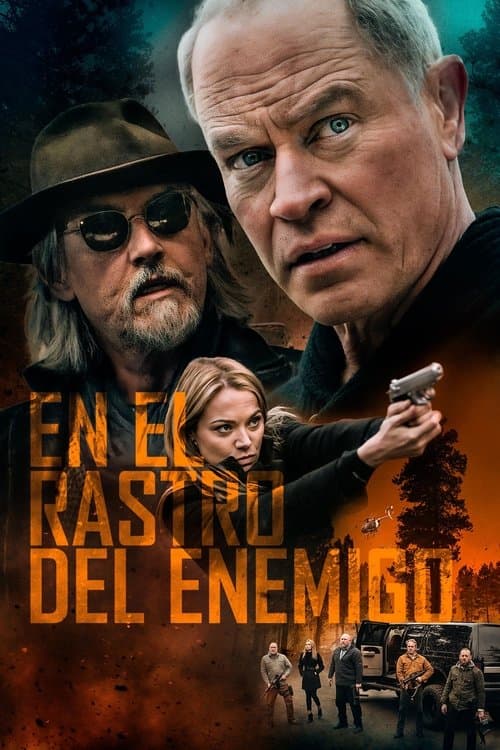 Póster de Boon: El protector