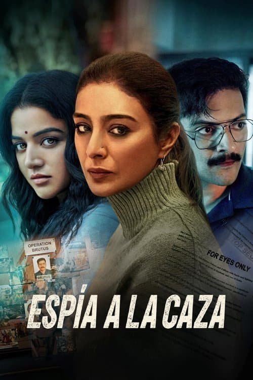 Póster de Espía a la caza