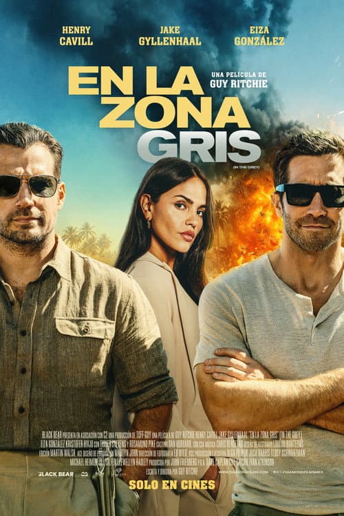 Póster de In The Grey - En la zona gris