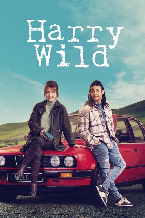 Póster de Harry Wild