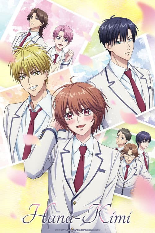 Póster de Hanazakari no Kimitachi e - Hana-Kimi