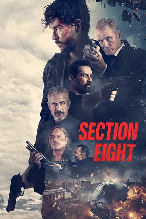 Póster de Section 8