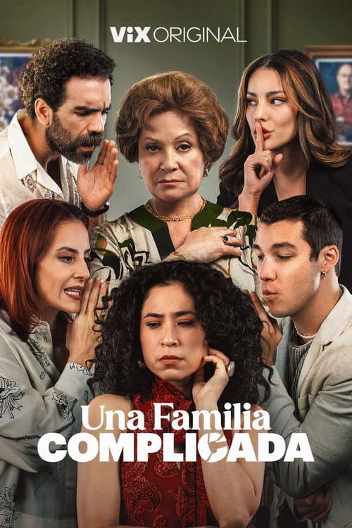 Póster de Una Familia Complicada