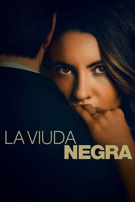 Póster de La viuda negra