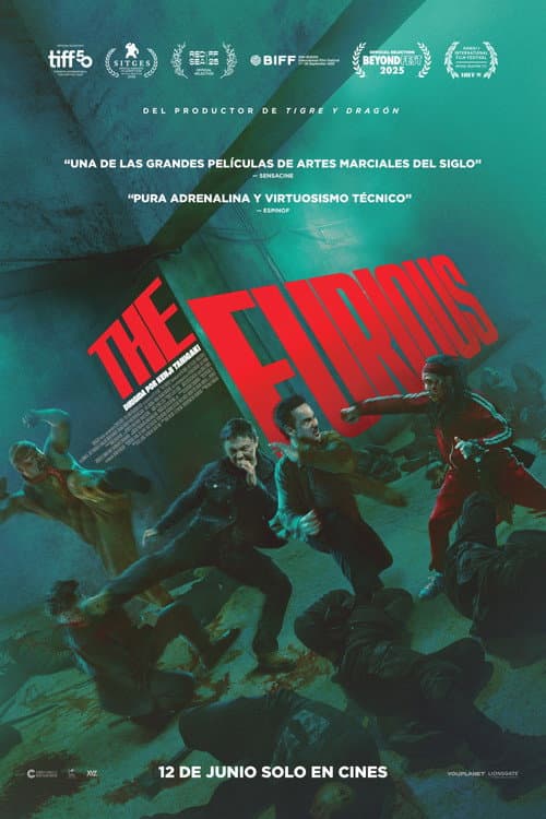 Póster de The Furious