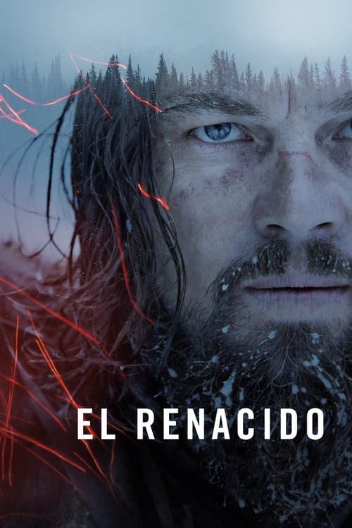 Póster de El renacido - The revenant