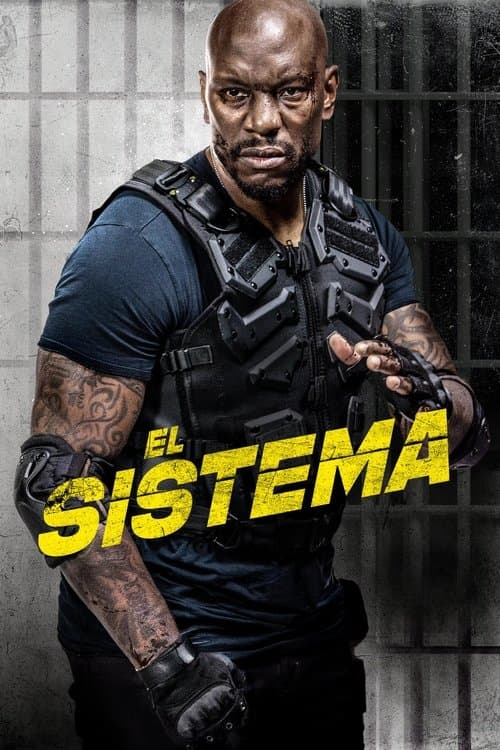 Póster de The System