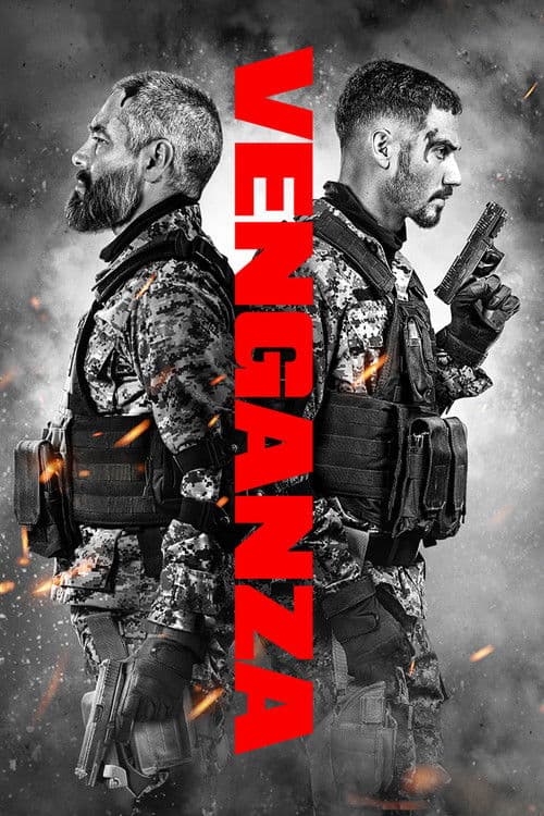 Póster de Venganza