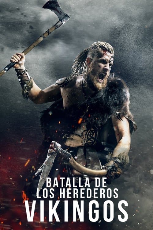Póster de Vikings Battle of heirs