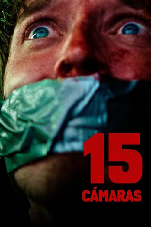 Póster de 15 Cameras