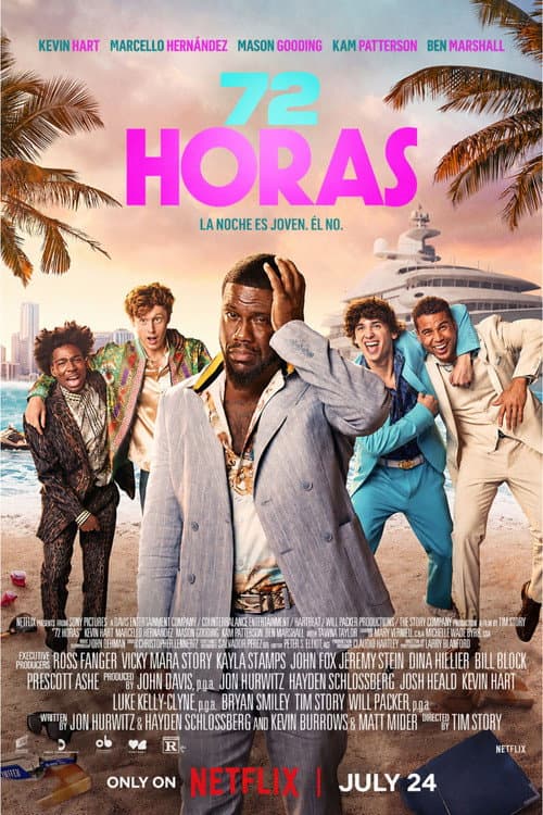 Póster de 72 horas