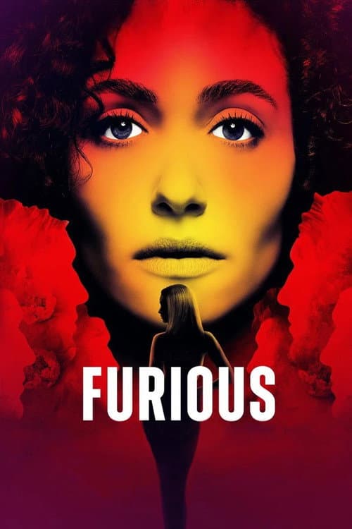 Póster de Furious