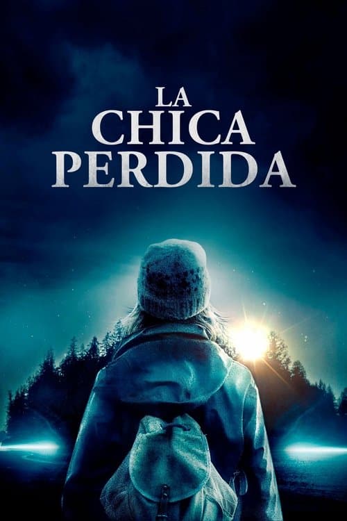 Póster de La chica perdida