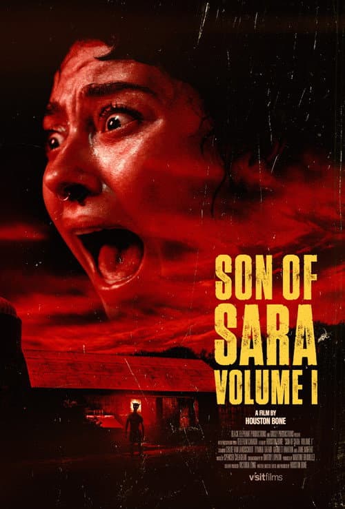 Póster de Son of Sara