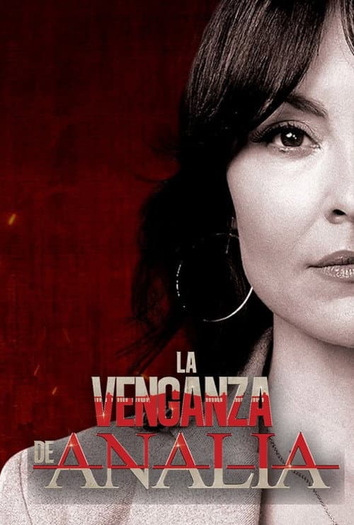 Póster de La venganza de Analía
