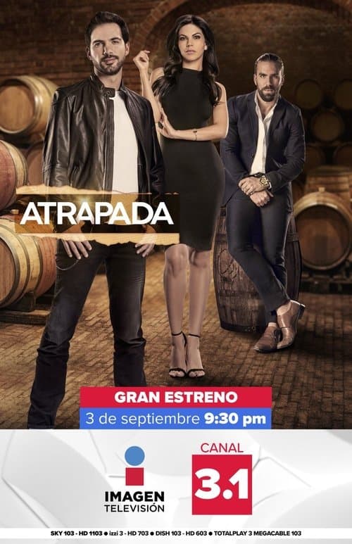 Póster de Atrapada
