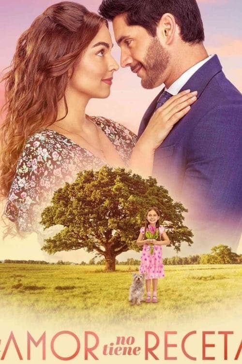 Póster de El amor no tiene receta