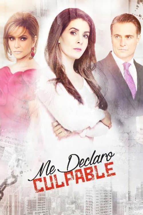 Póster de Me declaro culpable