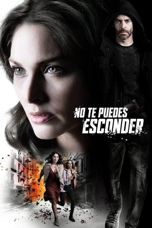 Póster de No te puedes esconder