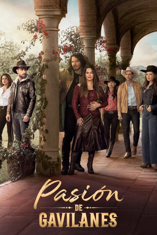 Póster de Pasión de gavilanes