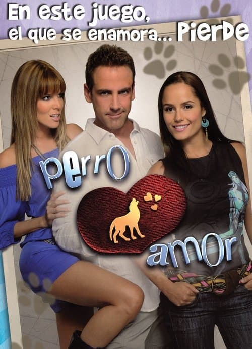 Póster de Perro Amor