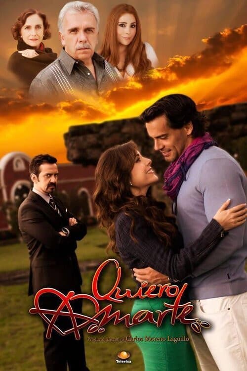 Póster de Quiero Amarte