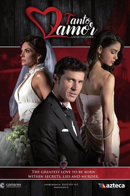 Póster de Tanto Amor