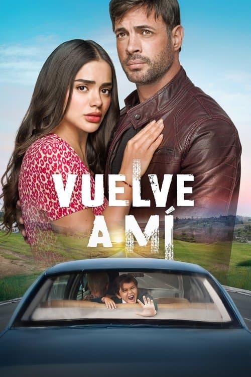 Póster de Vuelve a mí