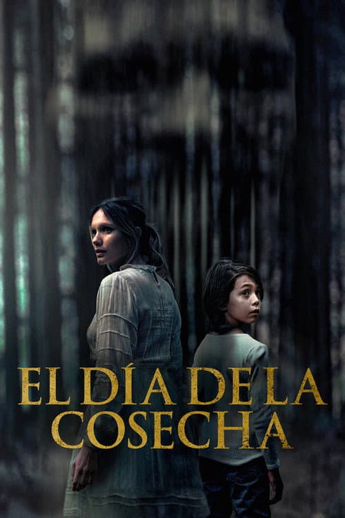 Póster de Ogre