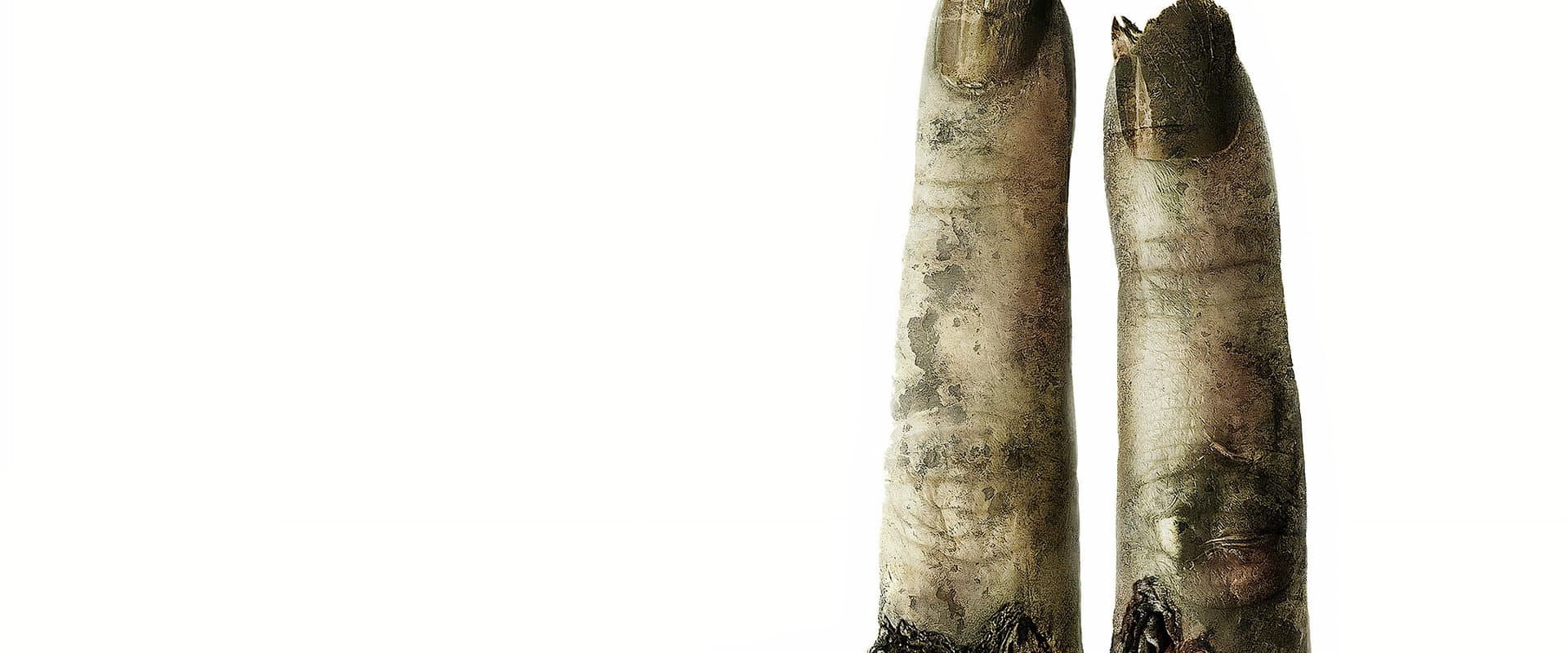 Saw 2