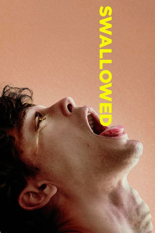 Póster de Swallowed