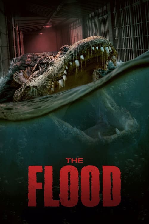 Póster de The Flood