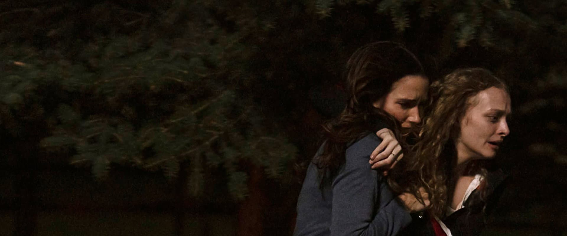 The Stranger in My Home - El extraño en mi casa