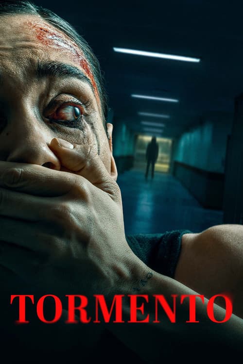 Póster de Tormento