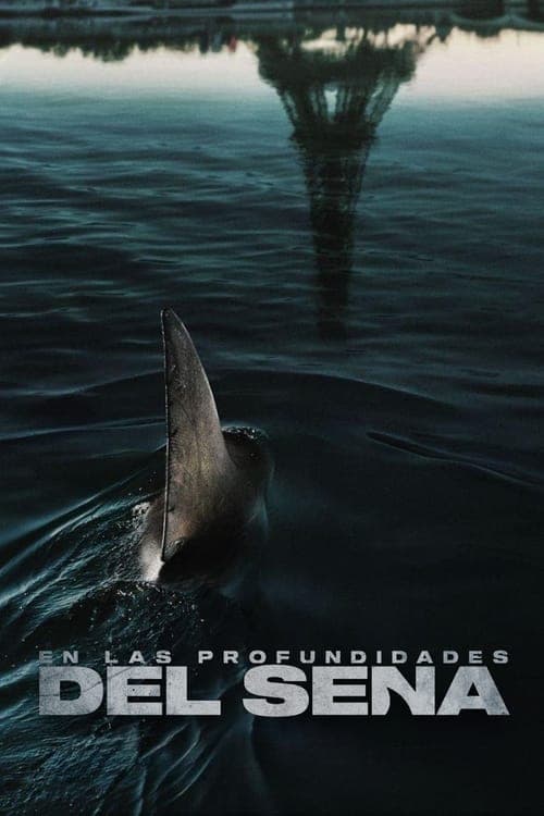 Póster de En las profundidades del Sena