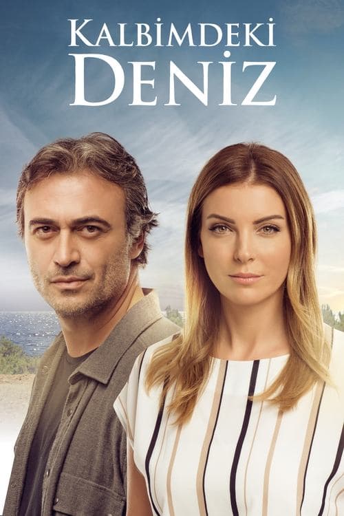 Póster de Amar una vez más
