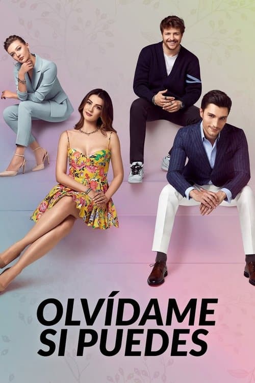 Póster de Amor Lógica Venganza