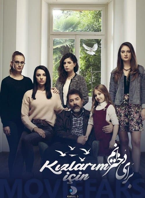 Póster de Conflictos De Familia