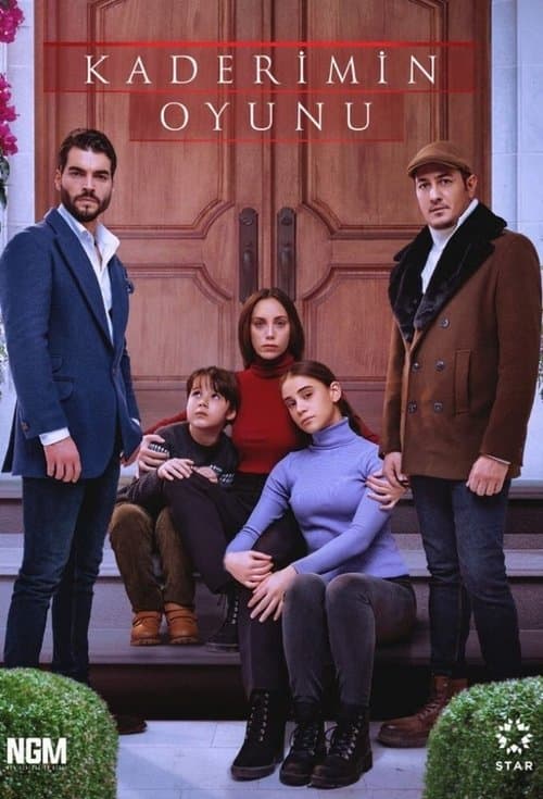 Póster de El juego de mi destino