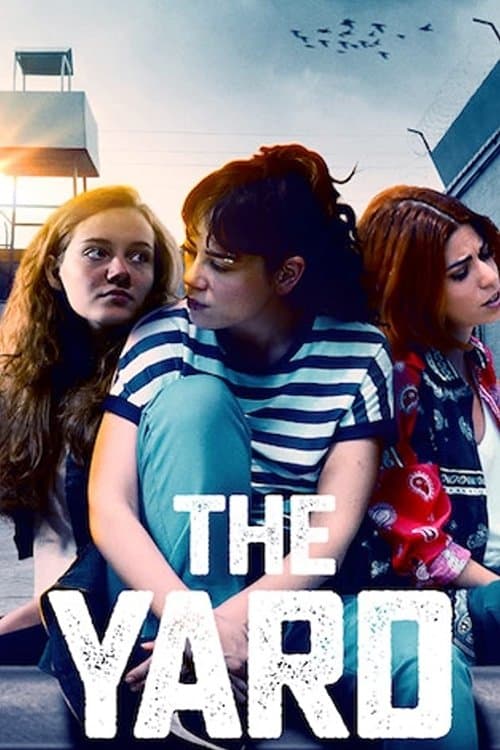 Póster de Avlu: El patio