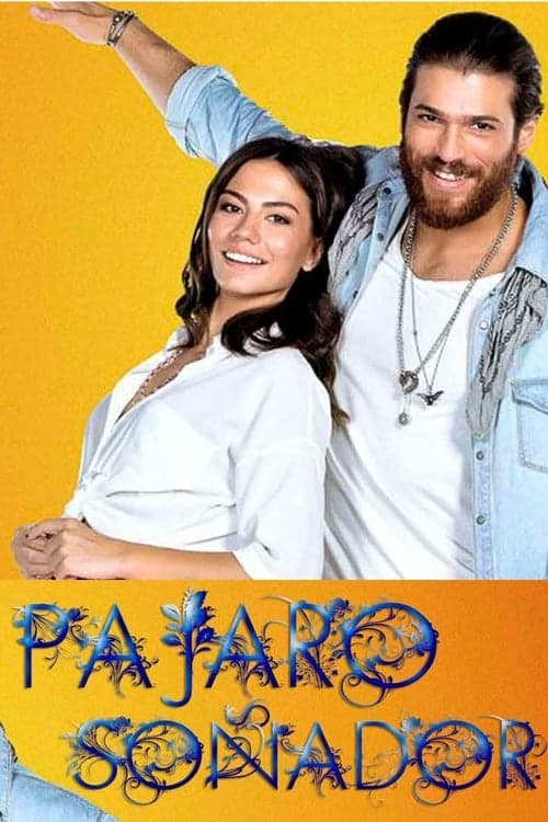 Póster de Pajaro Soñador