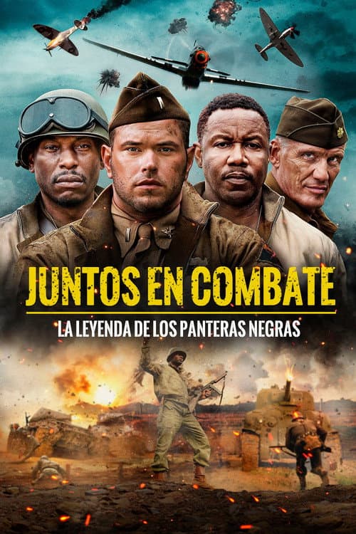 Póster de Juntos en combate