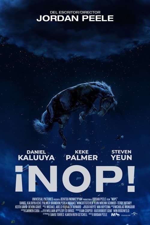 Póster de Nope - Nop