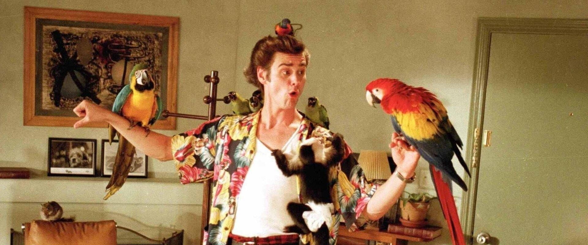 Ace Ventura, un detective diferente