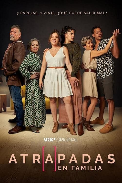 Póster de Atrapadas en familia