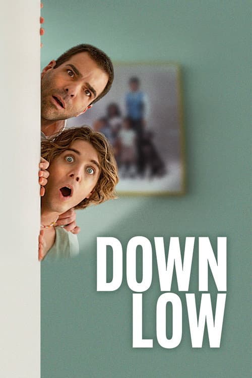 Póster de Down Low