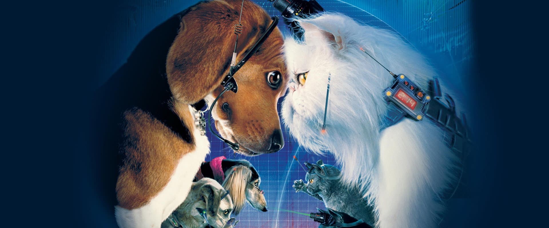 Como perros y gatos