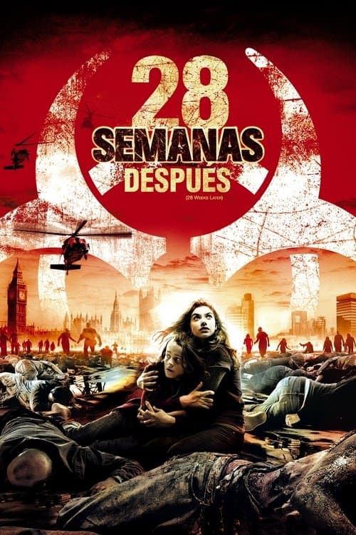 Póster de 28 semanas después