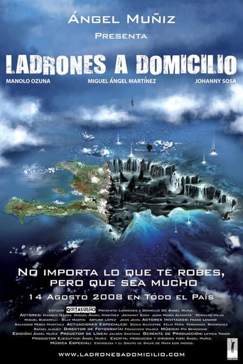 Póster de Ladrones a Domicilio